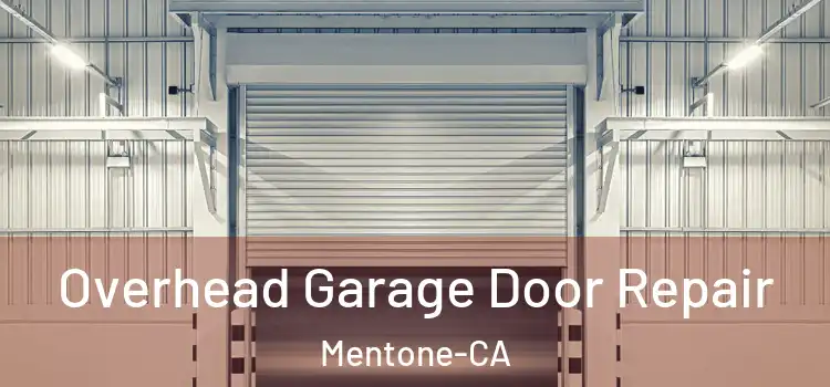  Overhead Garage Door Repair Mentone-CA