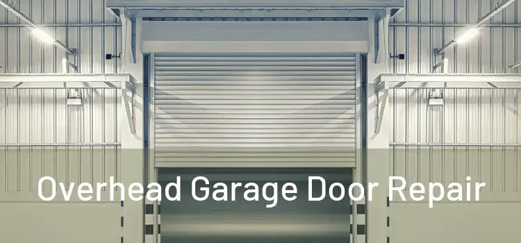  Overhead Garage Door Repair 